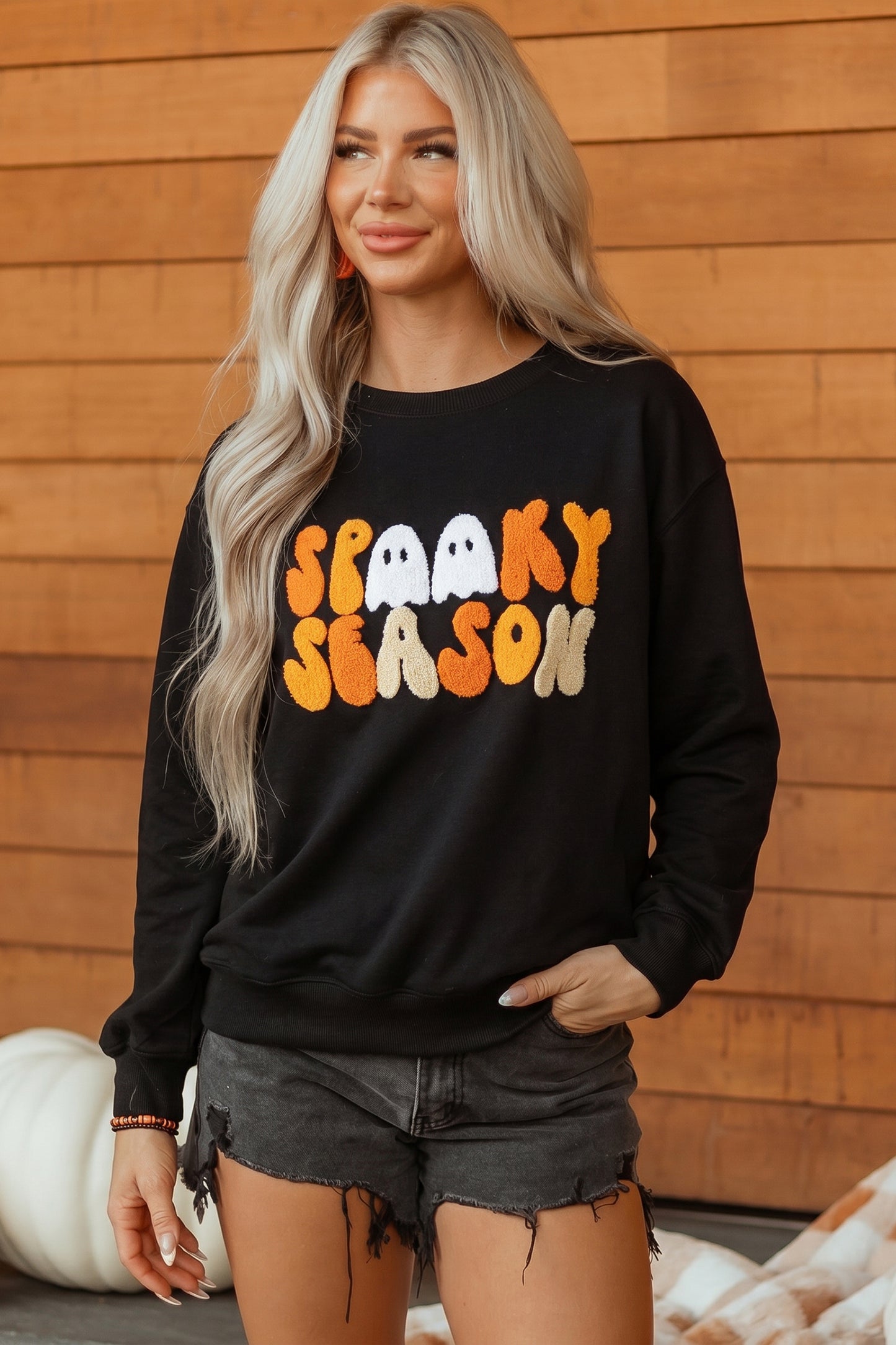 Embroidered Spooky Season Graphic Long Sleeve Round Neck Pullover Sweatshirt