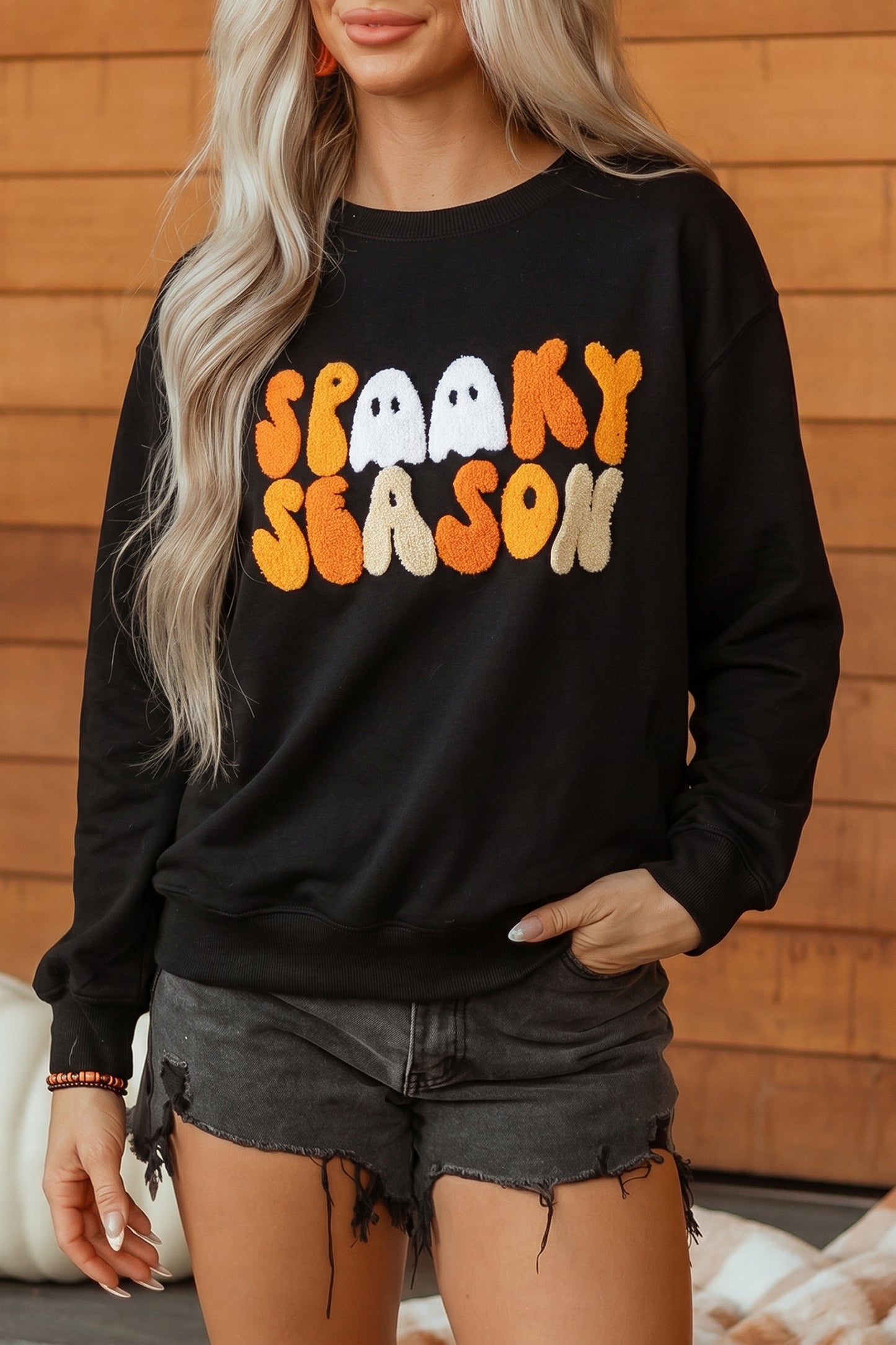 Embroidered Spooky Season Graphic Long Sleeve Round Neck Pullover Sweatshirt