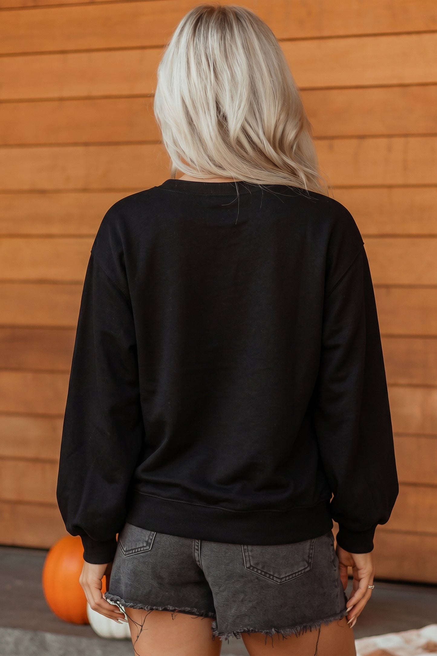 Embroidered Spooky Season Graphic Long Sleeve Round Neck Pullover Sweatshirt